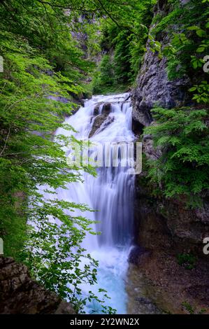 Cascada de la Cueva cascade dans la rivière Rio Arazas dans le canyon d'Ordesa Banque D'Images