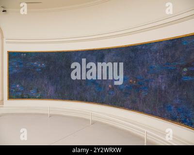 Reflets d'arbres, Musée de l'Orangerie, réflexions des arbres, les Nymphéas de Claude Monet, Paris, France, Europe, UE. Banque D'Images