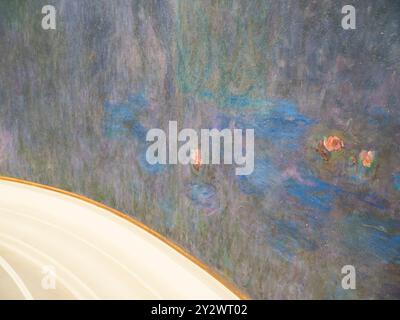 Reflets d'arbres, Musée de l'Orangerie, réflexions des arbres, les Nymphéas de Claude Monet, Paris, France, Europe, UE. Banque D'Images