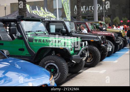 Plusieurs véhicules tout-terrain de marque Jeep Wrangler hautement modifiés garés sur batterie lors d'une réunion automobile. Le premier est un Wrangler TJ vert de deuxième génération Banque D'Images