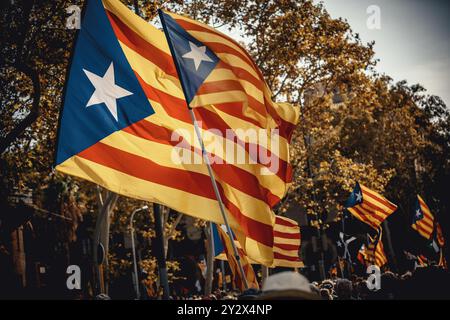 Barcelone, Espagne. 11 septembre 2024. Les militants indépendantistes brandissent des drapeaux lors de la marche lors de l'événement principal organisé par le crédit ANC : Matthias Oesterle/Alamy Live News Banque D'Images