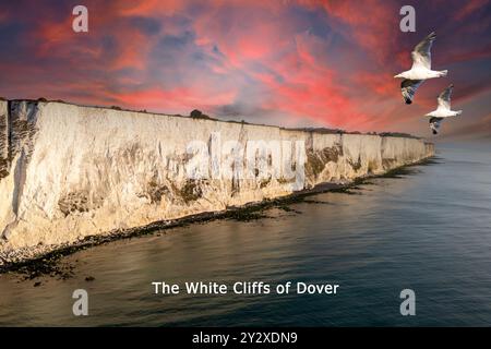 Les falaises blanches de Douvres au coucher du soleil avec des mouettes survolant la mer calme, créant un paysage serein et pittoresque. Banque D'Images