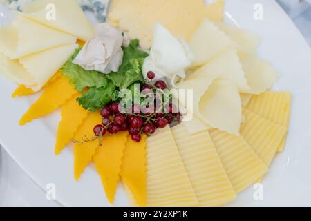 Gros plan d'un plateau de fromages avec différents types de fromages, garni de laitue et de baies rouges. Banque D'Images