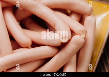 Pile de saucisses sur une assiette, parfait pour les présentations alimentaires, les visuels de cuisine et les conceptions de menu Banque D'Images