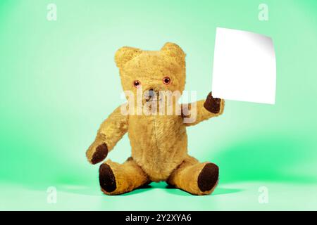 ours en peluche traditionnel vintage des années 1960 assis et tenant une feuille de papier blanc carré blanc vierge sur fond vert de studio Banque D'Images