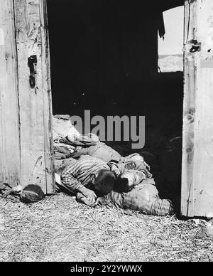 Les corps des prisonniers du camp de concentration tués par les SS se trouvent à l'intérieur de la grange près de Gardelegen. Plus de 1000 prisonniers évacués des camps de travaux forcés ont été rassemblés dans la grange et celle-ci a été incendiée. 1016 sont morts et 7 ont survécu. L'action a été menée par des unités locales (Hitler Youth, Volkssturm et pompiers) sous la direction des SS. Banque D'Images