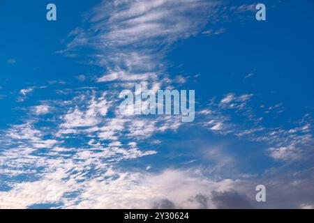 Ciel bleu clair parsemé de nuages blancs pelucheux. Cirrocumulus stratiformis cirrocumulus nuages Banque D'Images