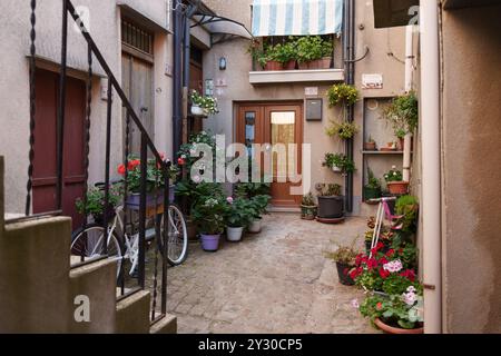 Une charmante cour avec des plantes luxuriantes, des fleurs colorées, et un vélo au centre Banque D'Images