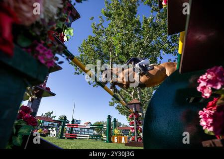 Calgary, Canada - 6 septembre 2024. Olivier Robert de France, pilote Fallowey Lyade, participe à la Tourmaline Cup 1.60m lors du CSIO Spruce Meadows Banque D'Images