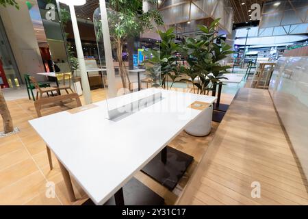 Les longues feuilles sont ce que les panneaux acryliques semblent. Au milieu de la table, la couleur transparente l'obscurcissait. Banque D'Images