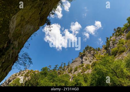 Horma Canyon, Parc national des montagnes de Kure, Kastamonu, Turquie. Sentier de randonnée en bois. Banque D'Images