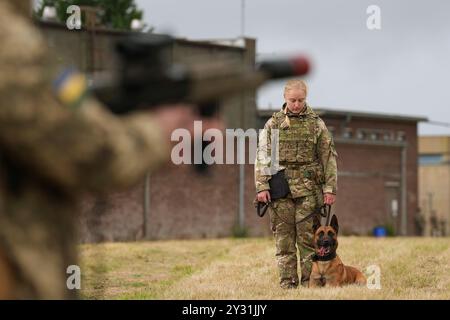 Freya Brown, maître-chien de l'armée britannique, avec son chien de travail militaire Zac, lors d'une séance d'entraînement avec du personnel de l'armée ukrainienne apprenant les techniques de maniement des chiens dans une caserne dans les East Midlands. Deux ans après l'invasion, de grandes parties de l'Ukraine sont recouvertes de mines terrestres et de munitions non explosées, y compris d'armes à sous-munitions, et les chiens jouent un rôle crucial dans la sécurisation des zones pour les soldats et les civils. Date de la photo : mardi 10 septembre 2024. Banque D'Images