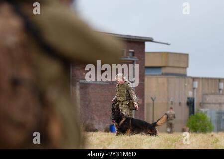 Maître-chien de l'armée britannique avec son chien de travail militaire lors d'une séance d'entraînement avec des membres de l'armée ukrainienne apprenant les techniques de maniement des chiens dans une caserne dans les East Midlands. Deux ans après l'invasion, de grandes parties de l'Ukraine sont recouvertes de mines terrestres et de munitions non explosées, y compris d'armes à sous-munitions, et les chiens jouent un rôle crucial dans la sécurisation des zones pour les soldats et les civils. Date de la photo : mardi 10 septembre 2024. Banque D'Images