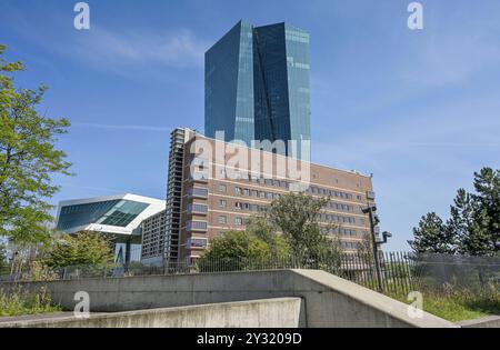 Europäische Zentralbank EZB, Hauptgebäude, Zentrale, Sonnemannstraße, Ostende, Francfort-sur-le-main, Hesse, Deutschland *** Banque centrale européenne BCE, bâtiment principal, siège, Sonnemannstraße, Ostende, Francfort-sur-le-main, Hesse, Allemagne Banque D'Images
