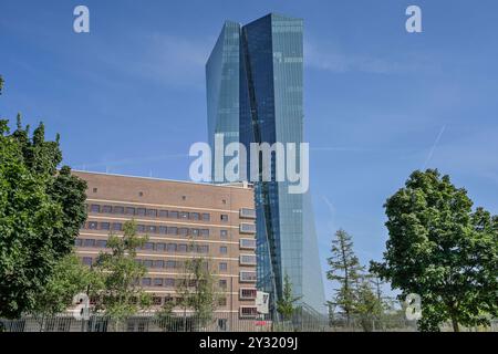Europäische Zentralbank EZB, Hauptgebäude, Zentrale, Sonnemannstraße, Ostende, Francfort-sur-le-main, Hesse, Deutschland *** Banque centrale européenne BCE, bâtiment principal, siège, Sonnemannstraße, Ostende, Francfort-sur-le-main, Hesse, Allemagne Banque D'Images