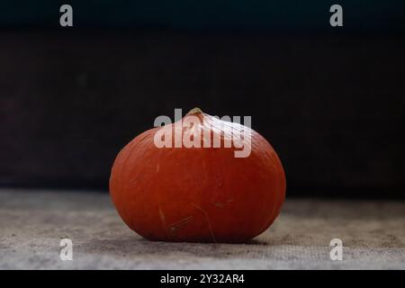 Une citrouille orange vif repose sur une surface en béton dur à proximité Banque D'Images