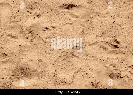 Il s'agit d'une image détaillée montrant un tas de sable fin et mou qui présente diverses empreintes de pas imprimées dans sa surface Banque D'Images