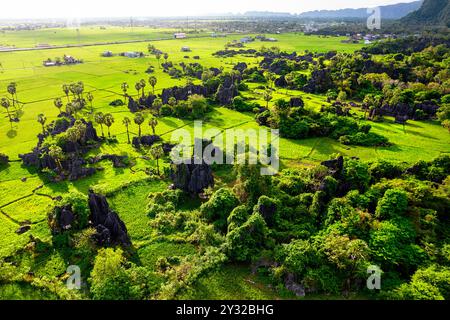 Belle forêt de pierre connue comme karst situé au milieu des rizières et des palmiers à Rammang Rammang, Sulawesi, roches calcaires érodées, végétation tropicale Banque D'Images