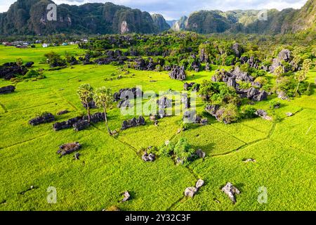 Belle forêt de pierre connue comme karst situé au milieu des rizières et des palmiers à Rammang Rammang, Sulawesi, roches calcaires érodées, végétation tropicale Banque D'Images