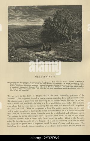 Illustration Vintage plantations d'oliviers près de Saragosse, Espagne, XIXe siècle illustré par Gustave Dore Banque D'Images