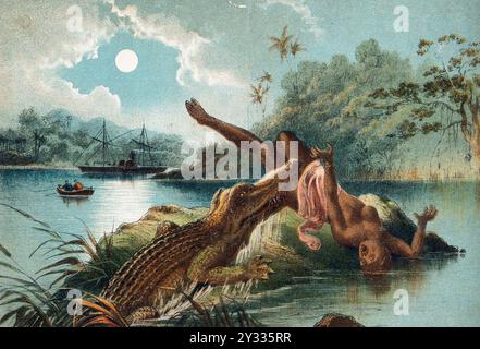 Un crocodile émergeant du fleuve Zambèze et mordant la jambe d'une femme. La femme est prise par surprise et tombe en arrière de la pierre dans l'eau sur laquelle elle se tenait. Un épisode du fleuve Zambèze décrit par David Livingstone, vers 1850, historique, reproduction numérisée d'un original de l'époque Banque D'Images