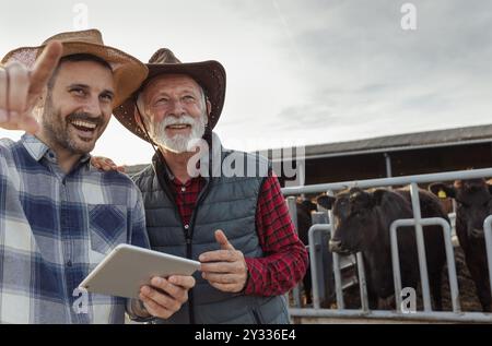 Deux fermiers, père et fils, utilisant la tablette et regardant dans la distance dans la ferme de bétail avec des vaches et des taureaux en arrière-plan Banque D'Images