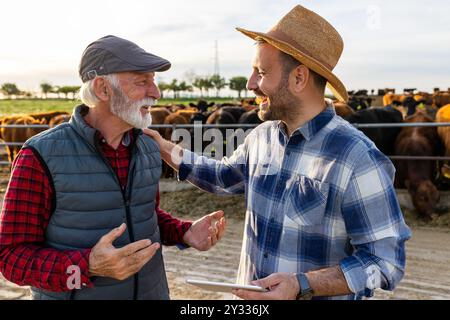 Deux fermiers debout devant le bétail sur le ranch, tenant une tablette et parlant Banque D'Images