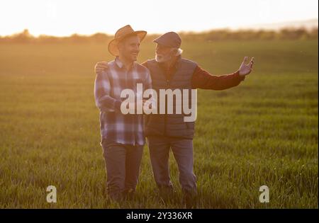 Agriculteur senior satisfait embrassant un homme plus jeune dans le champ de blé au printemps au coucher du soleil Banque D'Images