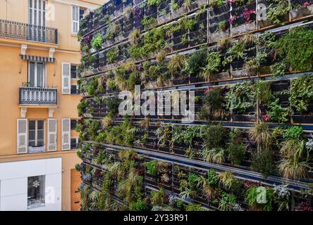 Façade d'un immeuble recouvert d'un jardin vertical au centre de Monaco-ville, Principauté de Monaco Banque D'Images