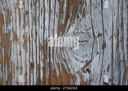 brouiller le bois ou le bois vieux ou le fond Banque D'Images