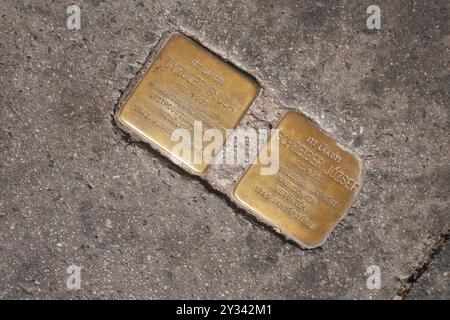 Stolpersteine (pierres d'achoppement, botlatókő) à Jozsef Schreiber, Gyula Tyroler, Juifs tués dans l'Holocauste, rue Rumbach Sebestyen, Budapest, Hongrie Banque D'Images