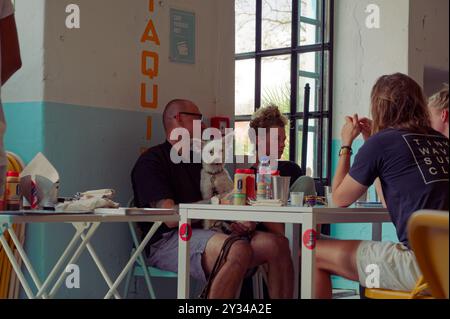 Un groupe de convives profite d'un moment décontracté à l'intérieur du Taqueria Paloma, avec un petit chien assis sur les genoux d'un homme Banque D'Images