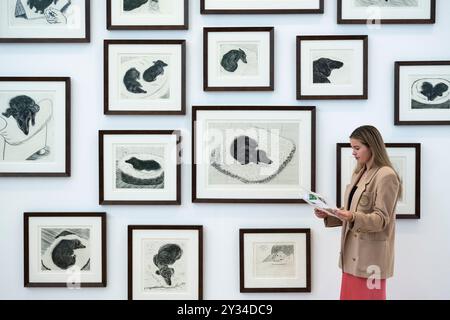 Londres, Royaume-Uni. 12 septembre 2024. Un membre du personnel de 'Dog Wall', 1998, par David Hockney (est. £200 000 - 300,000) lors d'un aperçu des œuvres en vente de David Hockney à Phillips à Berkeley Square. Les lots seront mis aux enchères le 19 septembre. Credit : Stephen Chung / Alamy Live News Banque D'Images