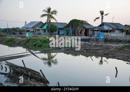 Changement climatique : village naufragé de Beting, régence de Bekasi, Java, Indonésie, Asie Banque D'Images