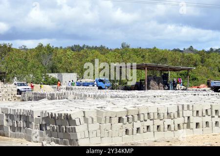 Usine parpaing sécher au soleil dans un village à Zanzibar Banque D'Images