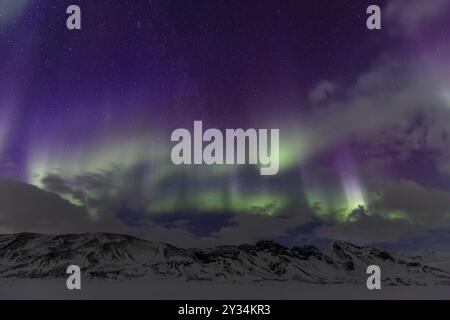 aurores boréales vertes et violettes, aurores boréales sur les montagnes enneigées, volcanique, hiver, lune, Laugarvatn, Islande, Europe Banque D'Images