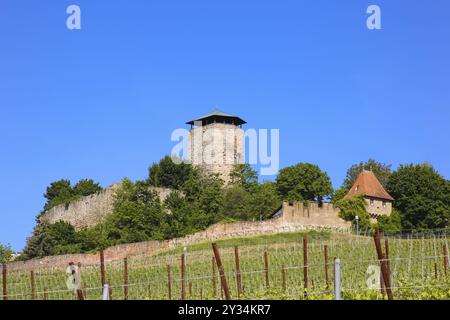 Château de Hohenbeilstein, château perché, Beilstein, Heilbronn district, Bade-Wuertemberg, Allemagne, Europe Banque D'Images