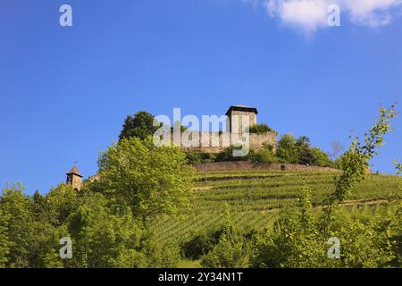 Château de Hohenbeilstein, château perché, viticulture, Beilstein, Heilbronn district, Bade-Wuertemberg, Allemagne, Europe Banque D'Images