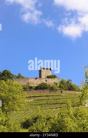 Château de Hohenbeilstein, château perché, Beilstein, Heilbronn district, Bade-Wuertemberg, Allemagne, Europe Banque D'Images