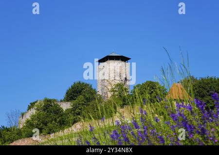 Château de Hohenbeilstein, château perché, Beilstein, Heilbronn district, Bade-Wuertemberg, Allemagne, Europe Banque D'Images