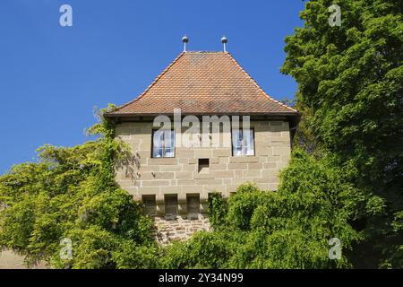 Château de Hohenbeilstein, château perché, Beilstein, Heilbronn district, Bade-Wuertemberg, Allemagne, Europe Banque D'Images