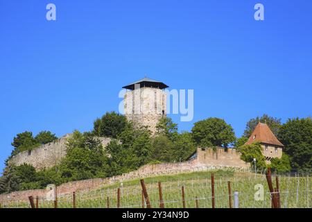 Château de Hohenbeilstein, château perché, vignobles, Beilstein, quartier de Heilbronn, Bade-Wuertemberg, Allemagne, Europe Banque D'Images