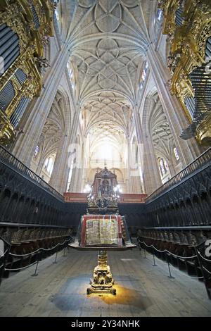 Livres de chœur et stands de chœur dans la cathédrale, Ségovie, province de Ségovie, Castille-et-Léon, Espagne, Europe Banque D'Images