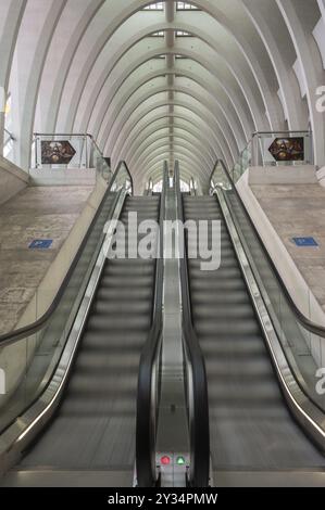 Gare de Liège-Guillemins, architecte Santiago Calatrava, escalator en mouvement avec toit incurvé, Liège, Belgique, Europe Banque D'Images