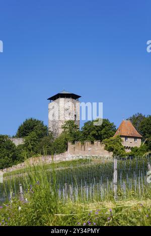 Château de Hohenbeilstein, château perché, Beilstein, Heilbronn district, Bade-Wuertemberg, Allemagne, Europe Banque D'Images