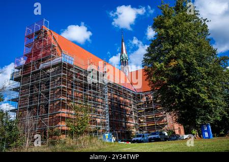 12 septembre 2024, Mecklembourg-Poméranie occidentale, Neukloster : L'échafaudage autour de l'église est toujours debout et le toit de l'église du monastère a été entièrement recouvert de tuiles de moine et de nonne ces derniers mois. L'église, qui est également célèbre pour ses vitraux médiévaux (datant d'environ 1250), a été largement rénovée et restaurée au cours des dix dernières années en plusieurs phases de construction. La construction extraordinaire de toiture du 13ème siècle avec des poutres en bois qui ont environ 800 ans a ainsi été préservée. Photo : Jens Büttner/dpa Banque D'Images