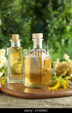 Teintures en bouteilles et herbes médicinales sur table en bois Banque D'Images