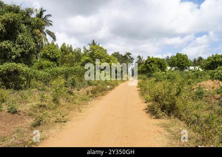 Route de terre dans la campagne près de la ville de Watamu Au Kenya Banque D'Images