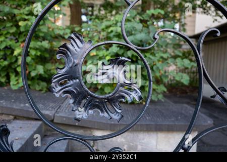 Décoration de porte en fer forgé gros plan, pas de personnes, mise au point sélective. Banque D'Images