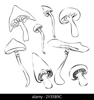 Ensemble de champignons fantastiques. Collection d'illustrations vectorielles dessinées à la main. Croquis de plantes forestières. Ensemble botanique. Dessin en ligne continue isolé sur blanc Illustration de Vecteur